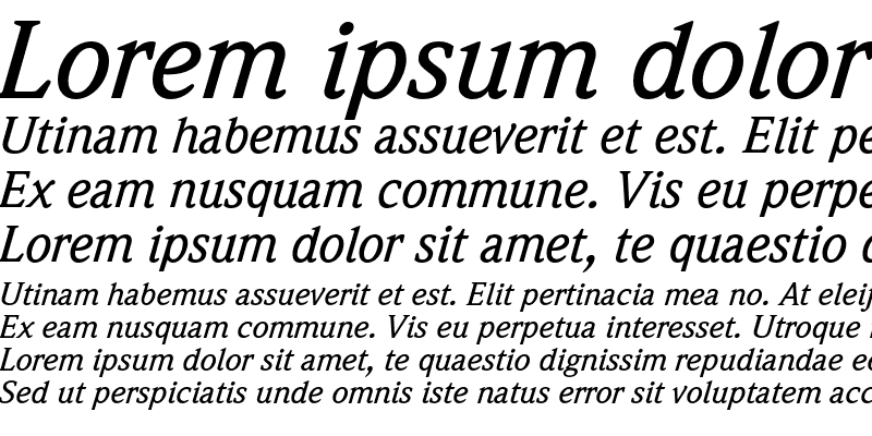 Sample of Weidemann Std Medium Italic