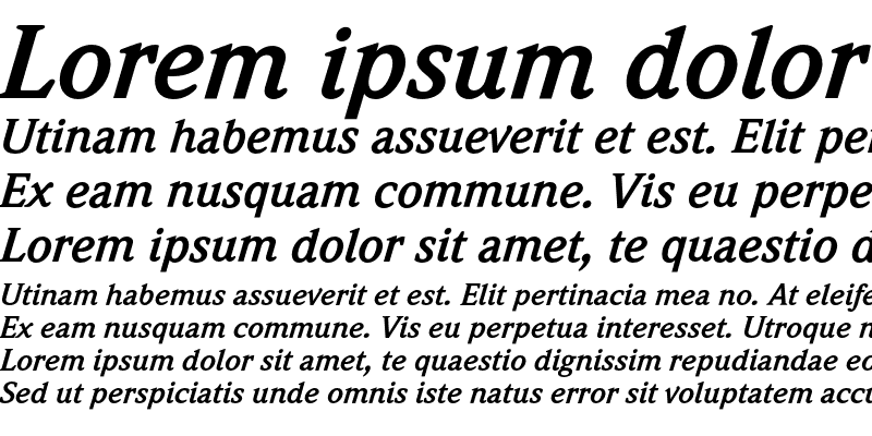 Sample of WeidemannEF Bold Italic