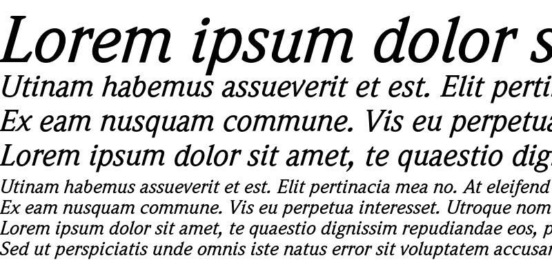 Sample of WeidemannEF Medium Italic