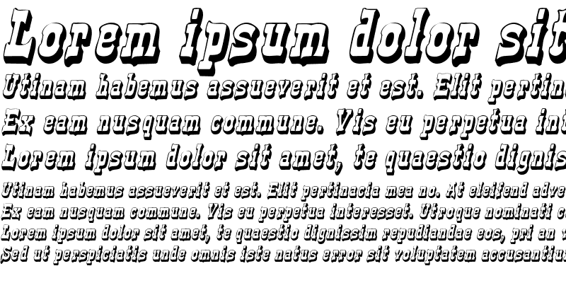 Sample of WesternShadow Italic