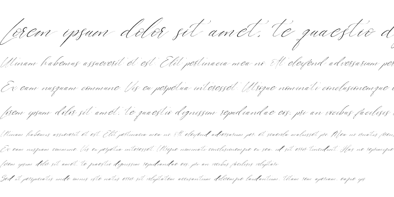 Sample of Westie Ametta Italic