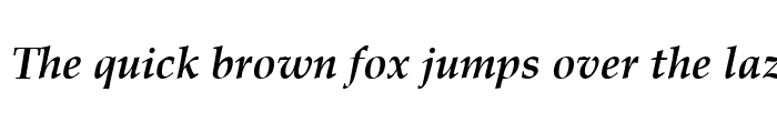 Preview of Whipping Post 2 Bold Italic
