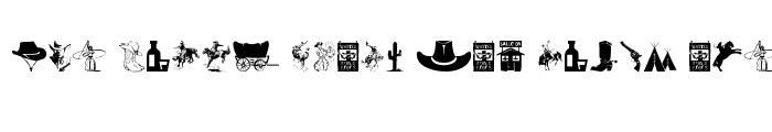 Preview of Wild West Icons Regular
