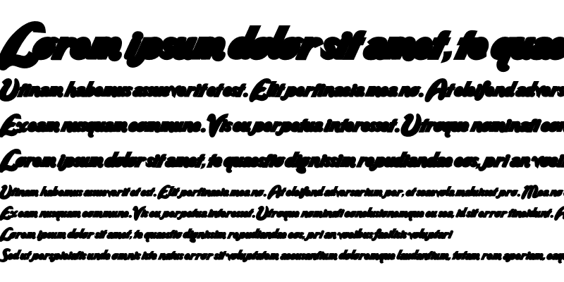 Sample of WildRideBackFill