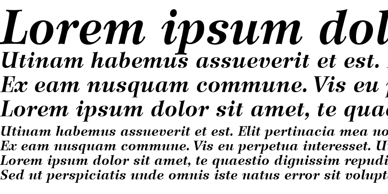 Sample of Wilke LT Roman Bold Italic