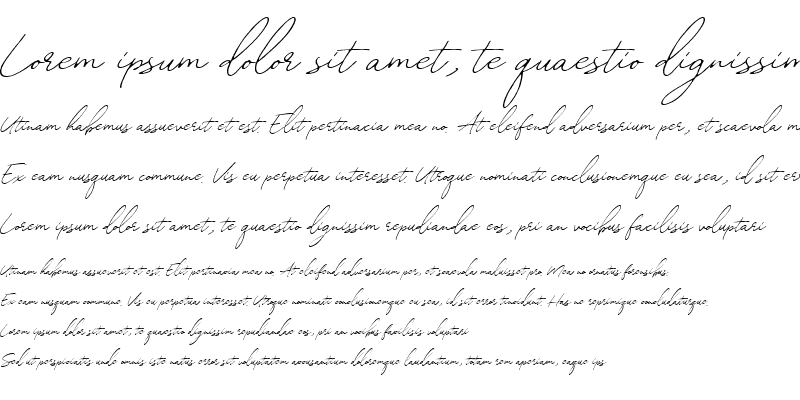 Sample of William Letter Signature DEMO Regular
