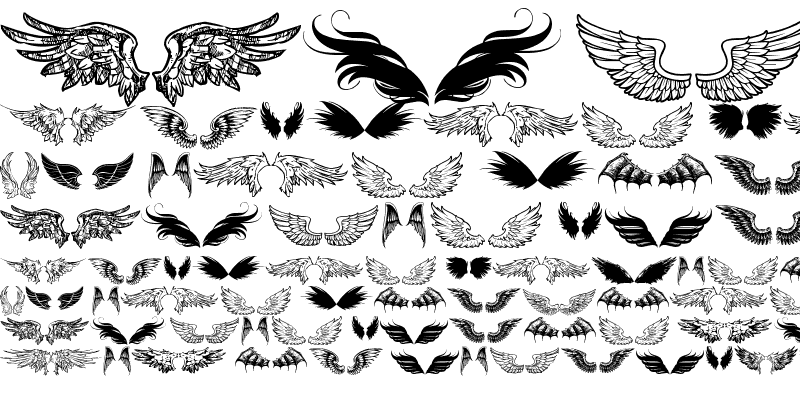 Sample of wings of wind tfb Regular
