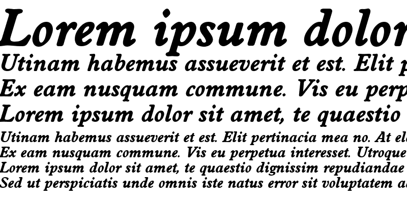 Sample of WorcesterLH Bold Italic