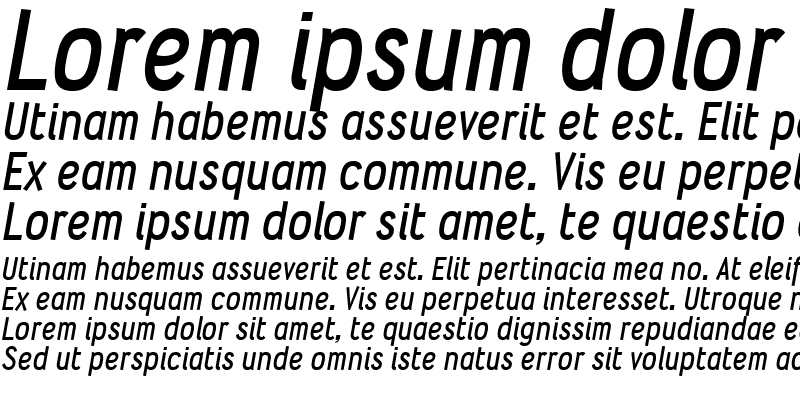 Sample of Wyvern Bold Italic