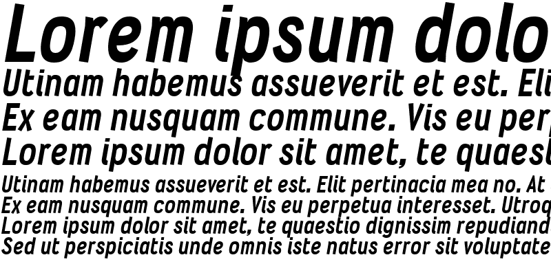 Sample of Wyvern Hvy Italic