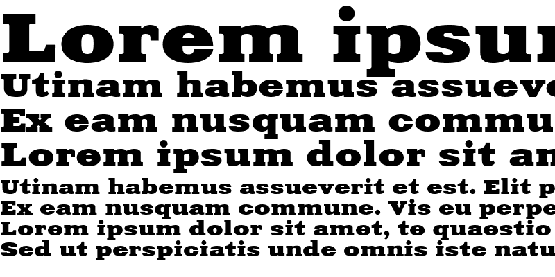 Sample of Xenia Extended Bold Cyrillic