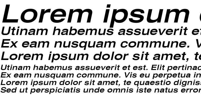 Sample of Xerox Sans Serif Wide Bold Oblique
