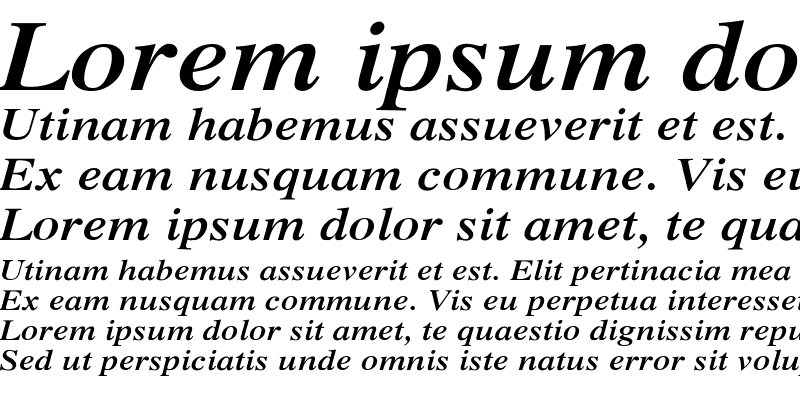 Sample of Xerox Serif Wide Bold Italic