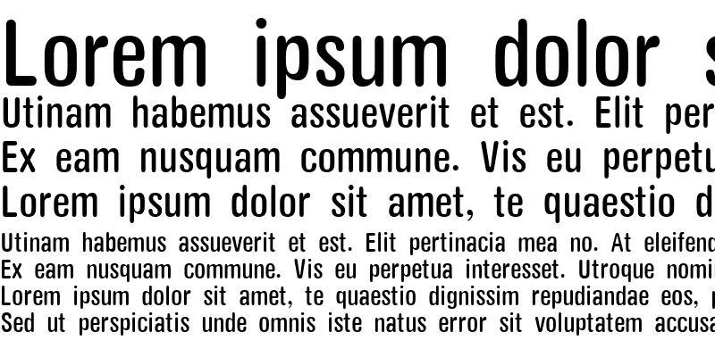 Sample of Yang Rounded Condensed Regular