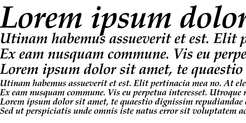 Sample of Zapf Calligraphic 801 Bold Italic