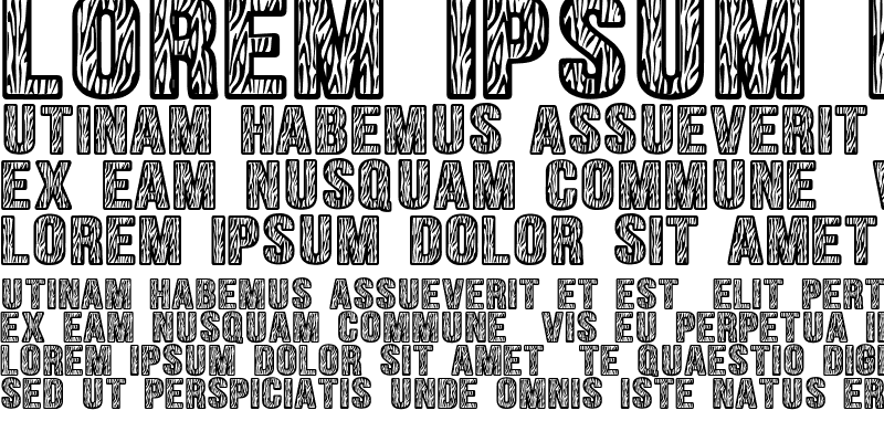 Sample of Zebraliner