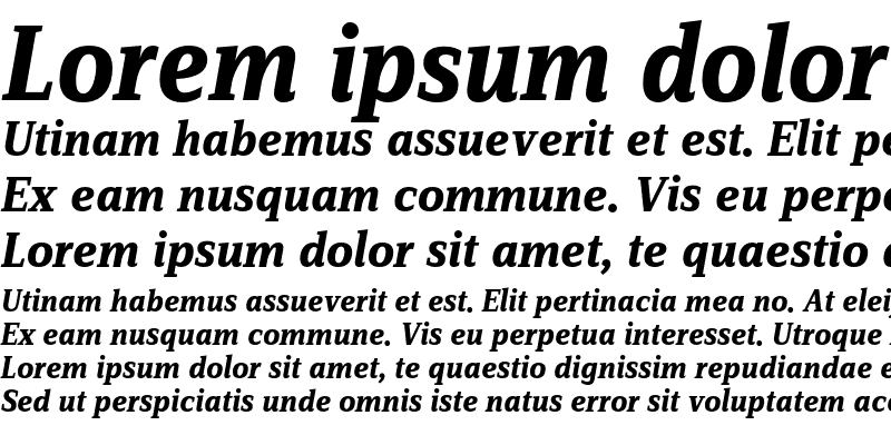 Sample of ZineSerifDis Tf Bold Italic